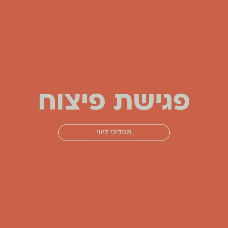 פגישת פיצוח